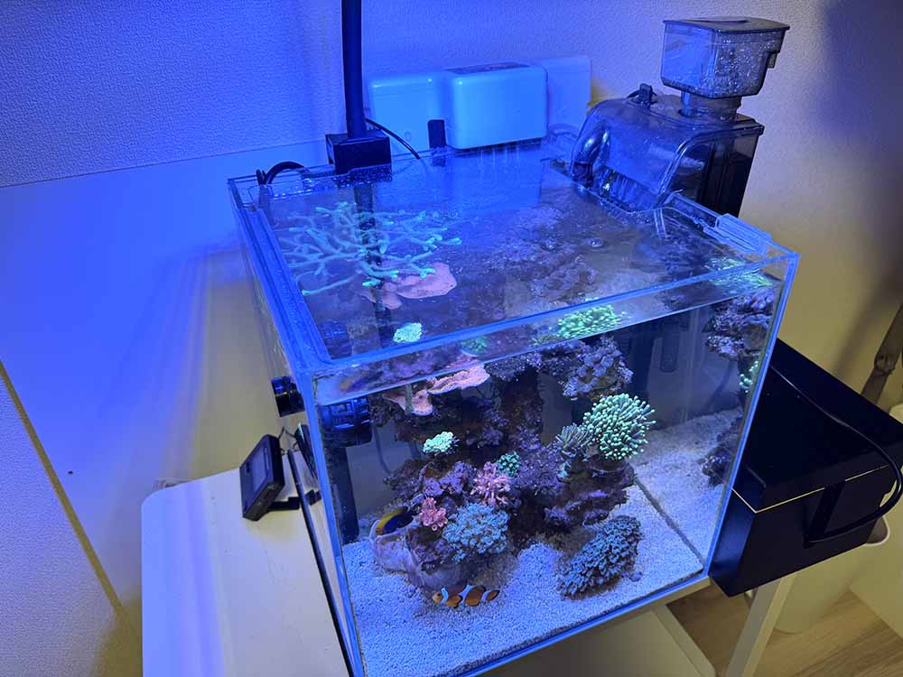 エグリが2箇所あるガラス水槽蓋